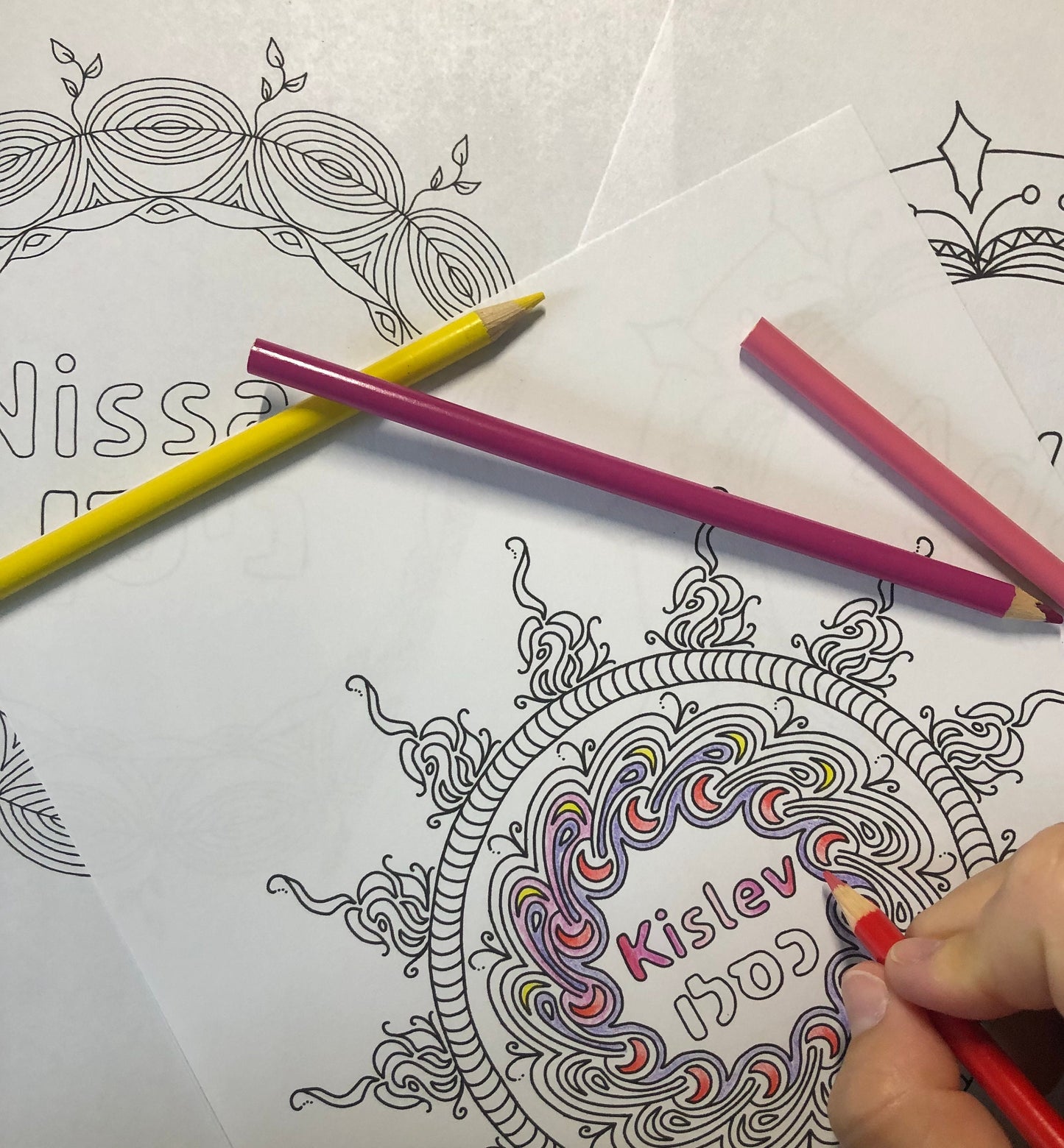 Illuminating the Moon: A Rosh Chodesh Journal & Coloring Book